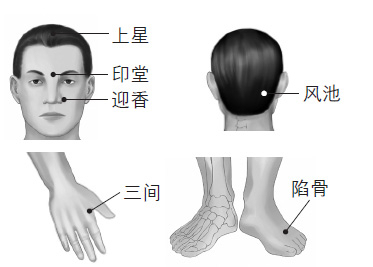 鼻塞、打鼾等鼻子問題的防治